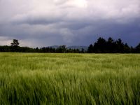 fruehling58 de koide sofie kimmt